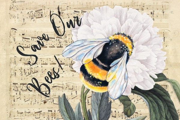 Seven Sirens Studios: Music For The Bees Peony by Seven Sirens Studios