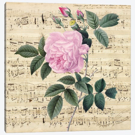 Pink Rose Music Vintage Chic Canvas Print #SSI48} by Seven Sirens Studios Canvas Art Print