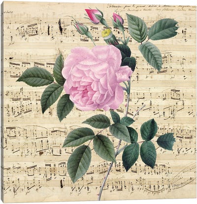 Pink Rose Music Vintage Chic Canvas Art Print - Seven Sirens Studios