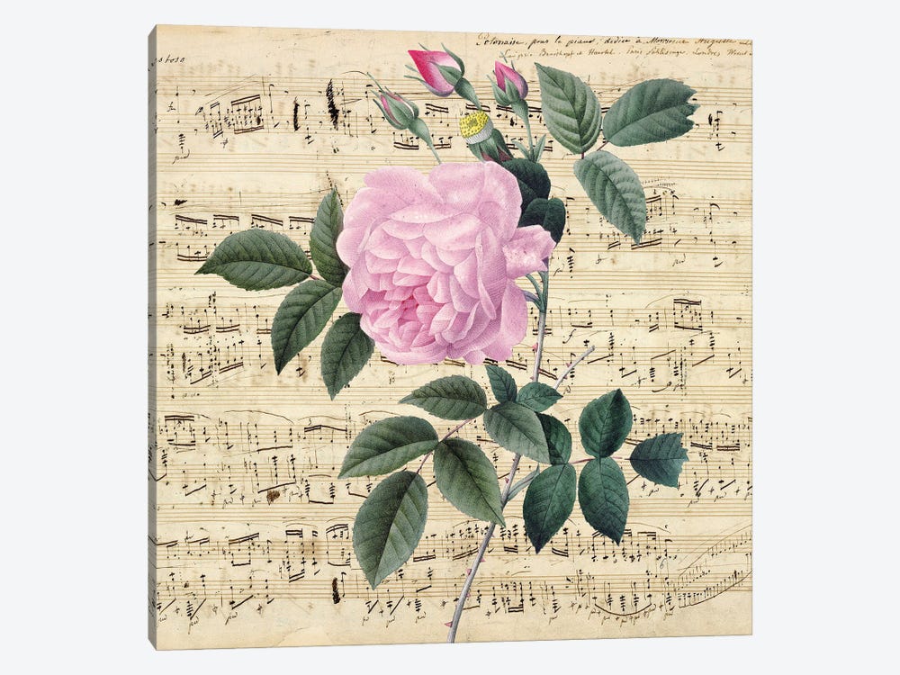 Pink Rose Music Vintage Chic by Seven Sirens Studios 1-piece Canvas Art
