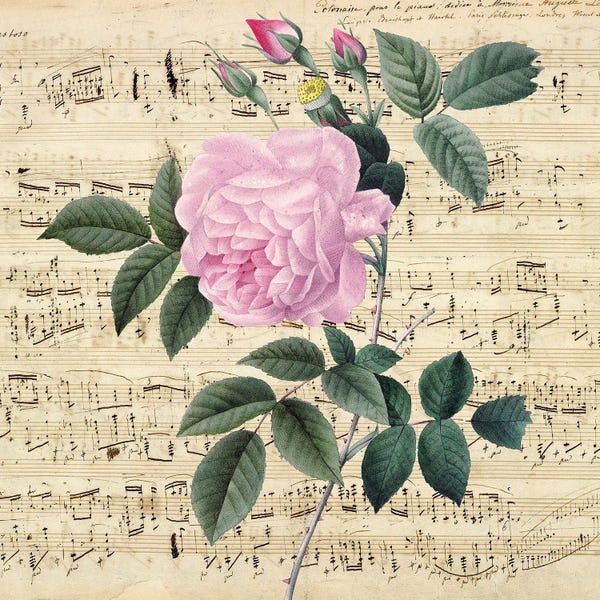 Music Notes: Pink Rose Music Vintage Chic by Seven Sirens Studios