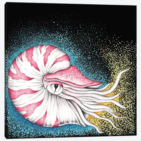 Nautilus On Black Ink Canvas Print #SSI49} by Seven Sirens Studios Art Print