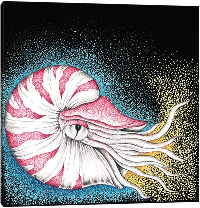 Nautilus On Black Ink Canvas Art Print - Seven Sirens Studios
