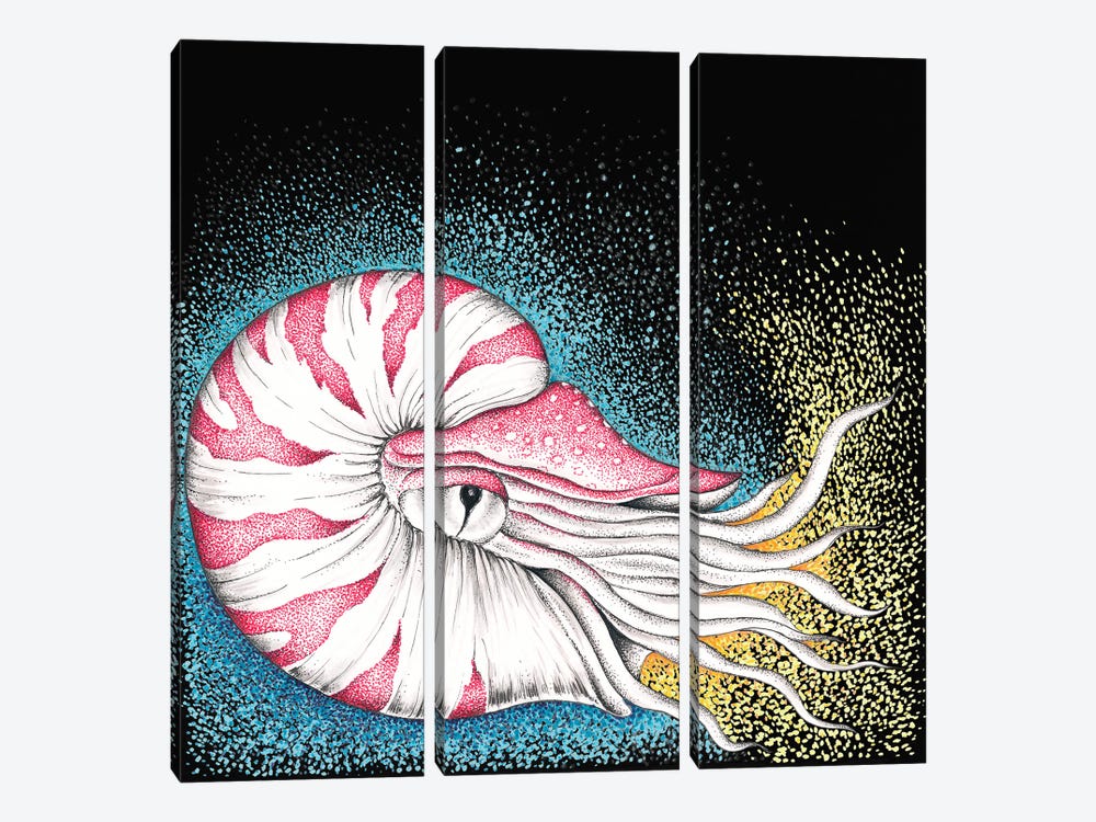 Nautilus On Black Ink by Seven Sirens Studios 3-piece Art Print