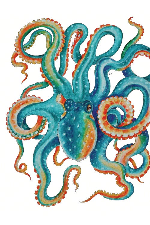 Octopus Teal Tentacles Watercolor Art