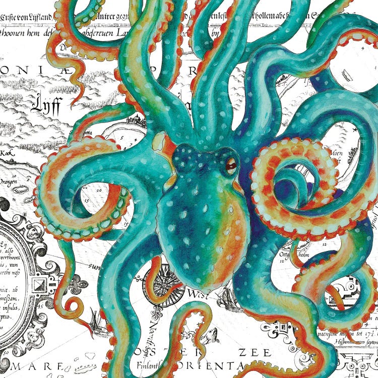 Octopus Teal Vintage Map White by Seven Sirens Studios wall art