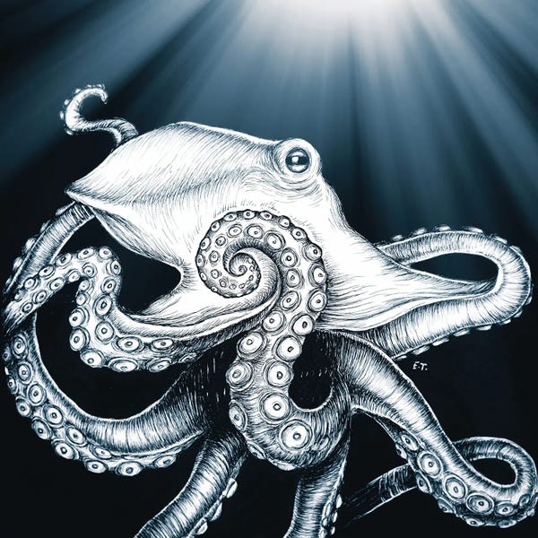 Octopi: Octopus Tentacles Moon Rays Blue by Seven Sirens Studios