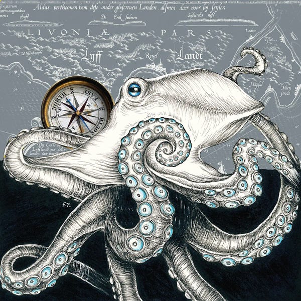 Seven Sirens Studios: Octopus Compass Vintage Map Grey by Seven Sirens Studios