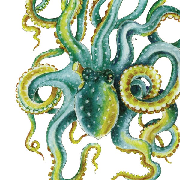 Seven Sirens Studios: Green Octopus Tentacles Watercolor Art by Seven Sirens Studios