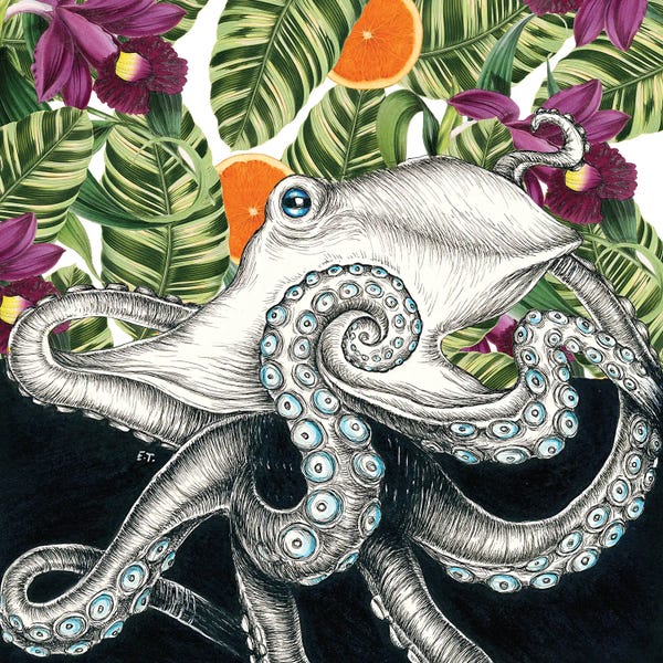 Octopi: Octopus Oranges And Orchids Ink by Seven Sirens Studios