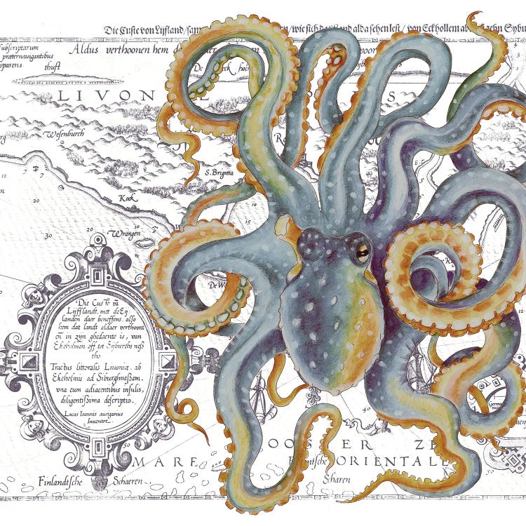 Octopus Blue Beige Vintage Map White by Seven Sirens Studios wall art