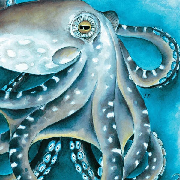 Seven Sirens Studios: Blue Beige Octopus Tentacles Watercolor by Seven Sirens Studios