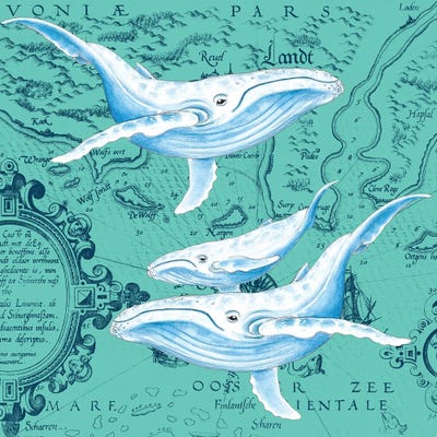 Blue Whales Family Teal Vintage Map by Seven Sirens Studios gallery poster