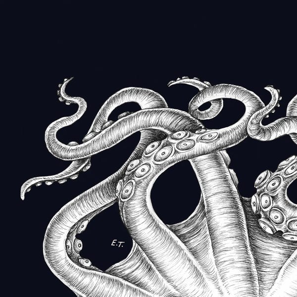 Octopi: White Octopus Tentacles Kraken Black by Seven Sirens Studios