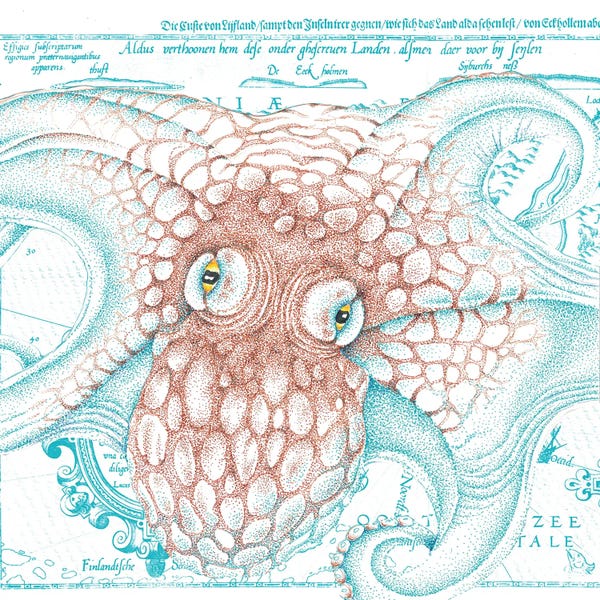 Octopus Orange Teal Vintage Map Ink