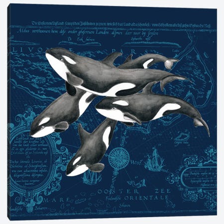 Orca Whale Pod Vintage Map Indigo Canvas Print #SSI85} by Seven Sirens Studios Canvas Art