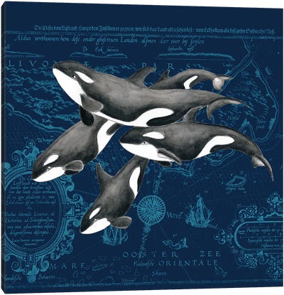 Orca Whale Pod Vintage Map Indigo Canvas Art Print - Orca Whale Art
