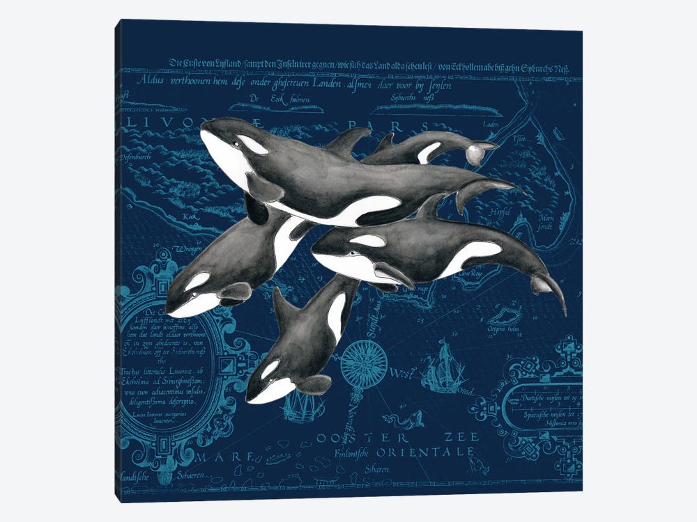 Orca Whale Pod Vintage Map Indigo by Seven Sirens Studios 1-piece Art Print