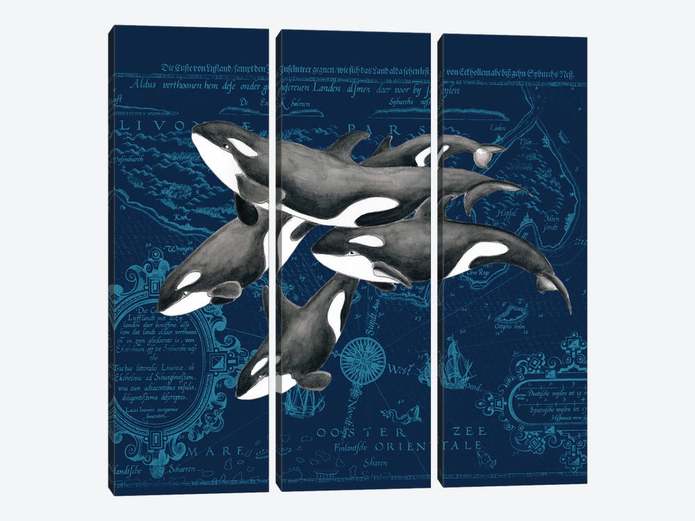Orca Whale Pod Vintage Map Indigo by Seven Sirens Studios 3-piece Canvas Art Print