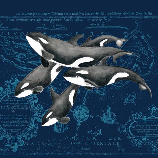 Orca Whale Pod Vintage Map Indigo