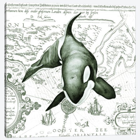 Orca Whale Vintage Map Green Canvas Print #SSI89} by Seven Sirens Studios Canvas Art Print