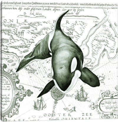 Orca Whale Vintage Map Green Canvas Art Print - Vintage Maps
