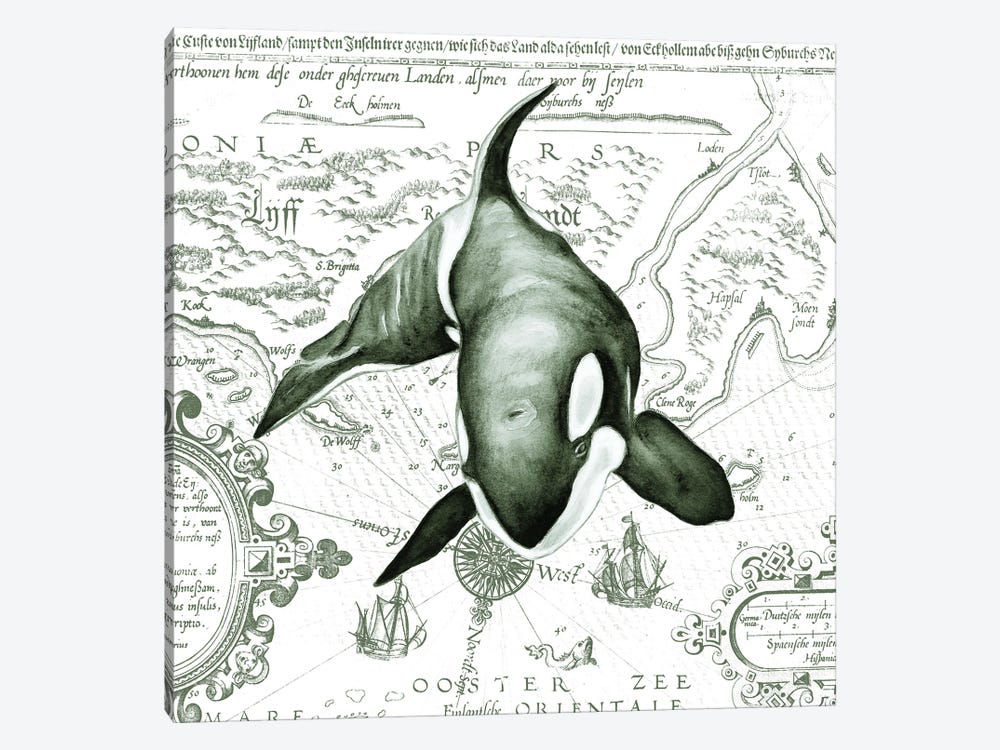 Orca Whale Vintage Map Green by Seven Sirens Studios 1-piece Canvas Print