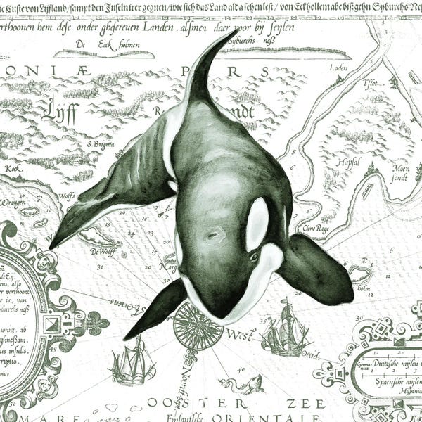 Orca Whale Vintage Map Green