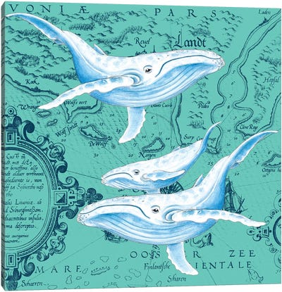 Blue Whales Family Teal Vintage Map Canvas Art Print - Seven Sirens Studios