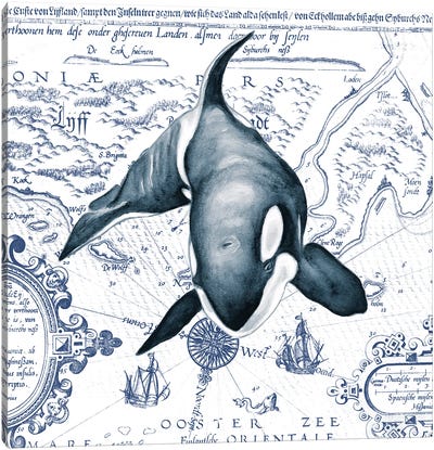 Orca Whale Vintage Map Blue Canvas Art Print - Orca Whale Art