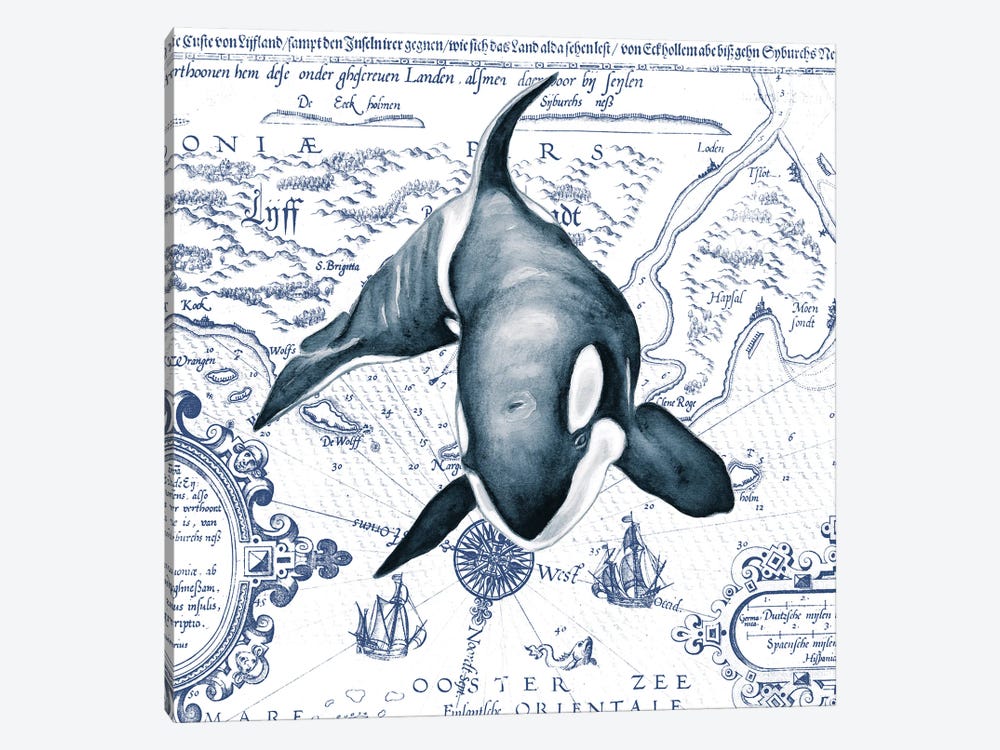 Orca Whale Vintage Map Blue by Seven Sirens Studios 1-piece Canvas Art Print