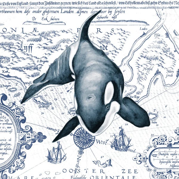 Orca Whale Vintage Map Blue