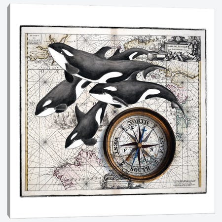 Orca Whale Pod Compass Vintage Map Canvas Print #SSI91} by Seven Sirens Studios Canvas Art