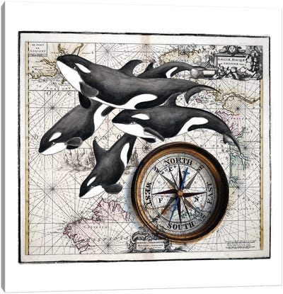 Orca Whale Pod Compass Vintage Map Canvas Art Print - Cottagecore Goes Coastal