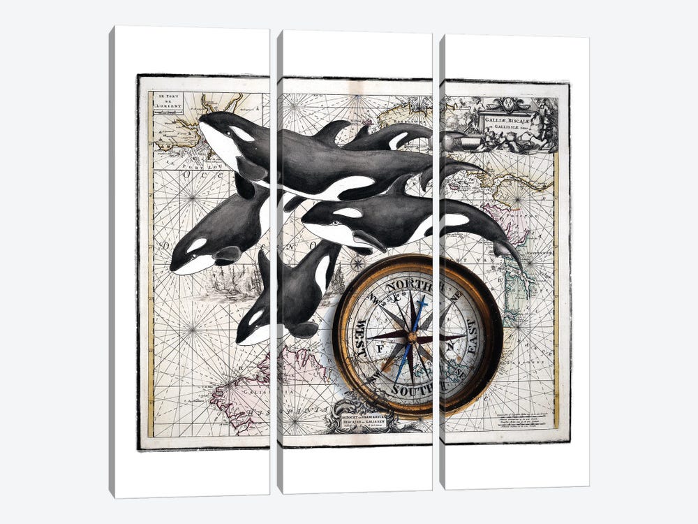 Orca Whale Pod Compass Vintage Map by Seven Sirens Studios 3-piece Canvas Art