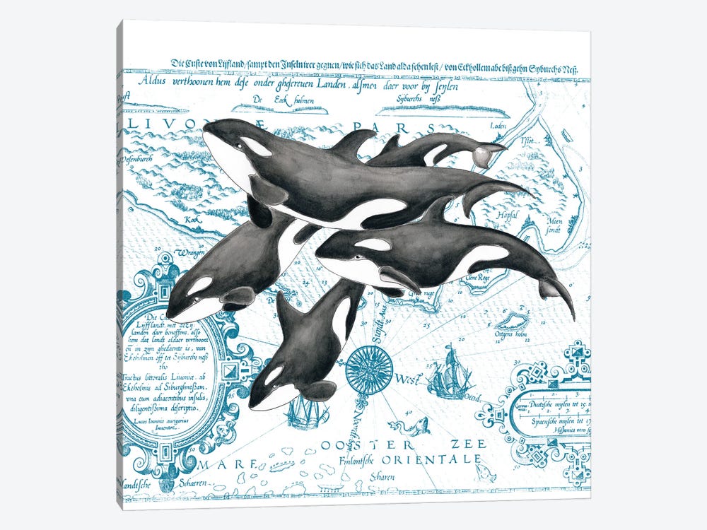 Orca Whale Pod Vintage Map White by Seven Sirens Studios 1-piece Art Print