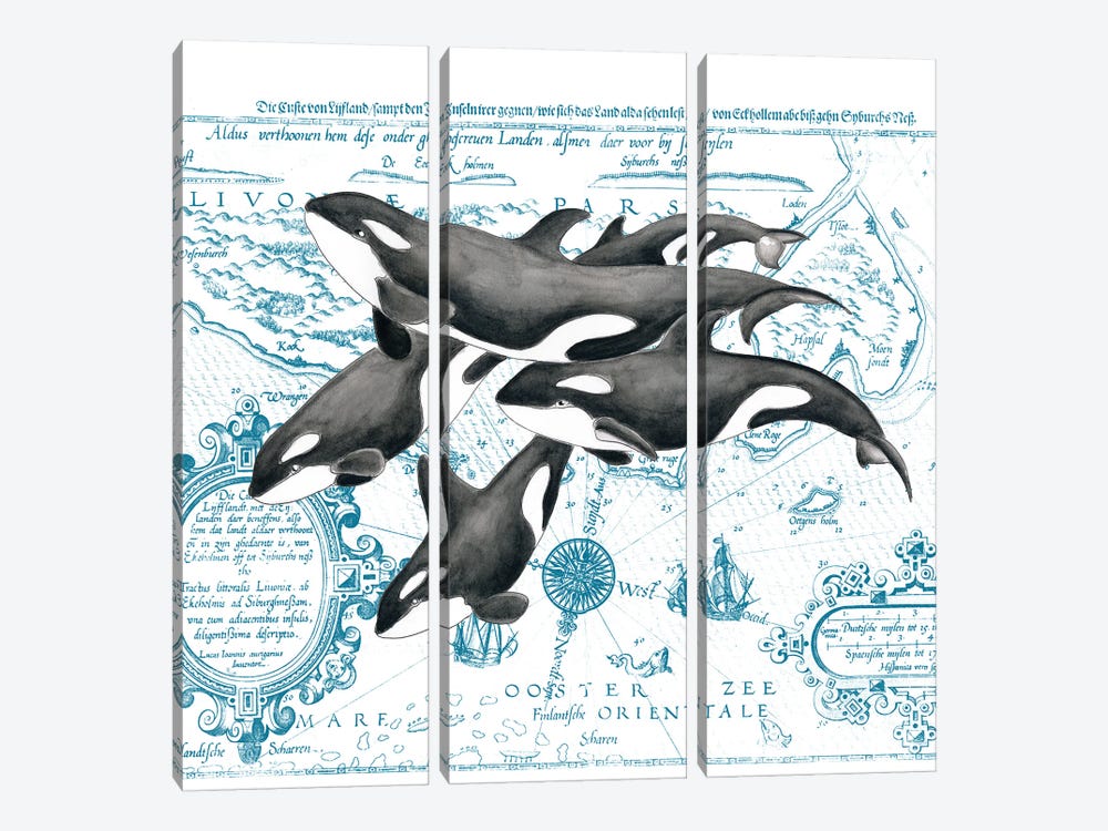 Orca Whale Pod Vintage Map White by Seven Sirens Studios 3-piece Art Print