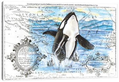 Breaching Orca Whale Vintage Map Blue Canvas Art Print - Whale Art