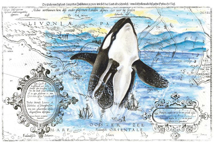 Breaching Orca Whale Vintage Map Blue