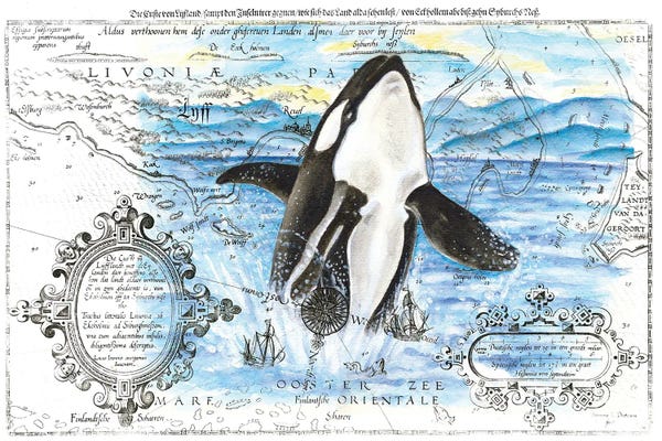 Seven Sirens Studios: Breaching Orca Whale Vintage Map Blue by Seven Sirens Studios
