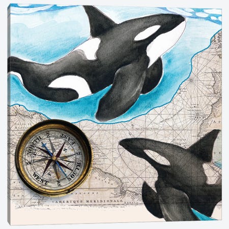 Two Orca Whales Compass Map Canvas Print #SSI95} by Seven Sirens Studios Canvas Art Print