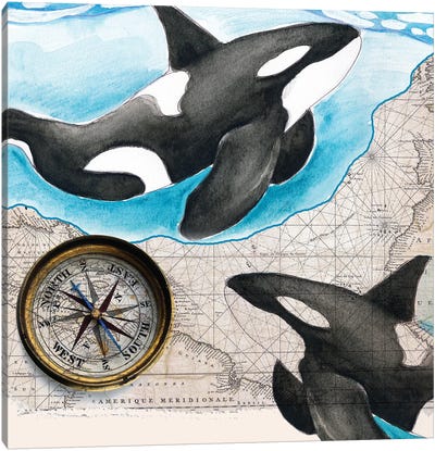 Two Orca Whales Compass Map Canvas Art Print - Vintage Maps