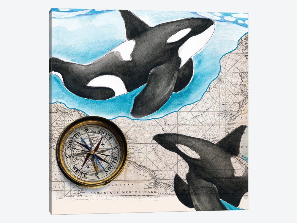 Two Orca Whales Compass Map by Seven Sirens Studios 1-piece Canvas Artwork