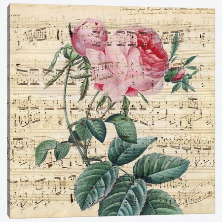 Pink Vintage Rose Music Chic Canvas Print #SSI97} by Seven Sirens Studios Canvas Art Print