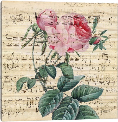 Pink Vintage Rose Music Chic Canvas Art Print - Musical Notes Art
