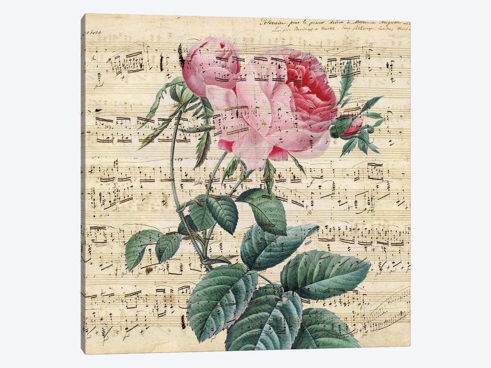 Pink Vintage Rose Music Chic by Seven Sirens Studios 1-piece Canvas Art