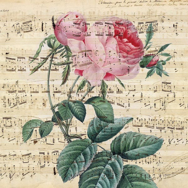 Music Notes: Pink Vintage Rose Music Chic by Seven Sirens Studios