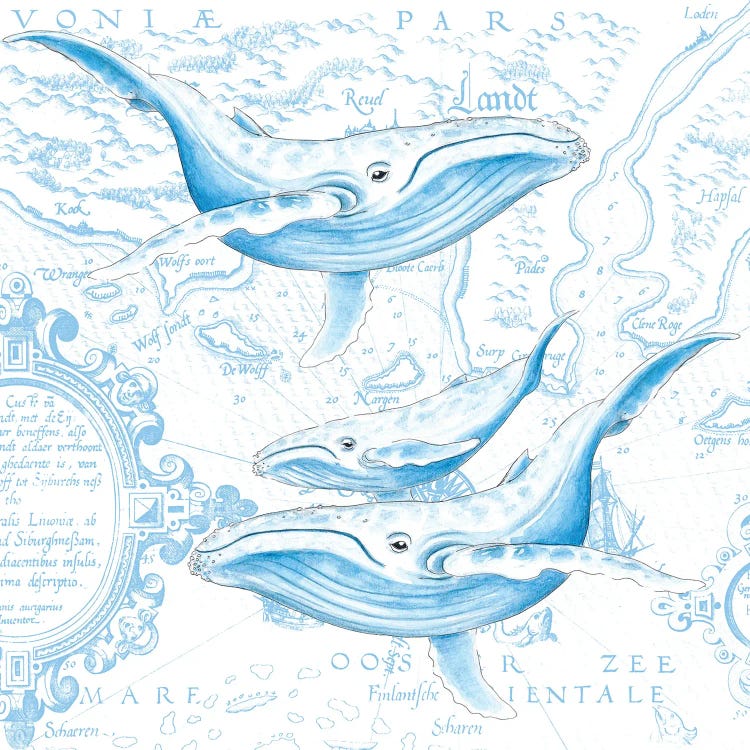 Blue Whales Family Vintage Map White