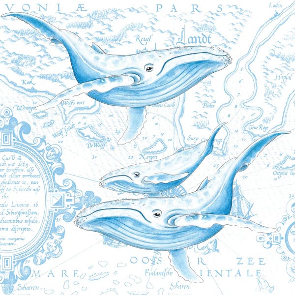 Blue Whales Family Vintage Map White
