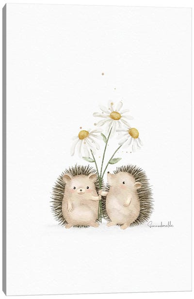 Hedgehogs Dasies Canvas Art Print - Hedgehogs